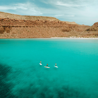 Skiffo SUP sur Instagram